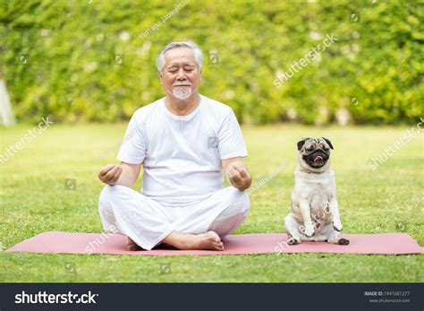 1 710 Mindfulness Meditation And Dog Images Stock Photos 3d Objects