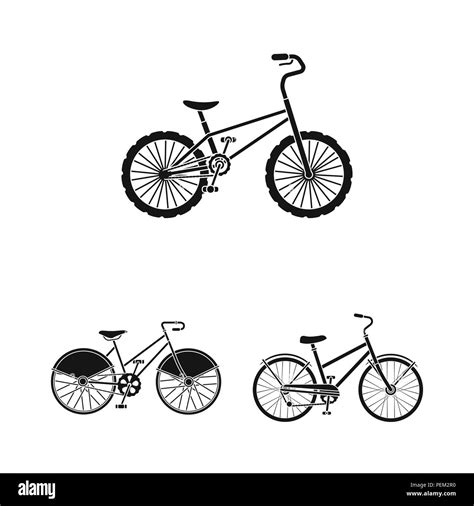 Various Bicycles Black Icons In Set Collection For Design The Type Of