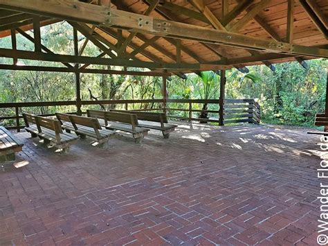 Sawgrass Lake Park: A Beautiful Natural Spot In The Heart Of St. Petersburg