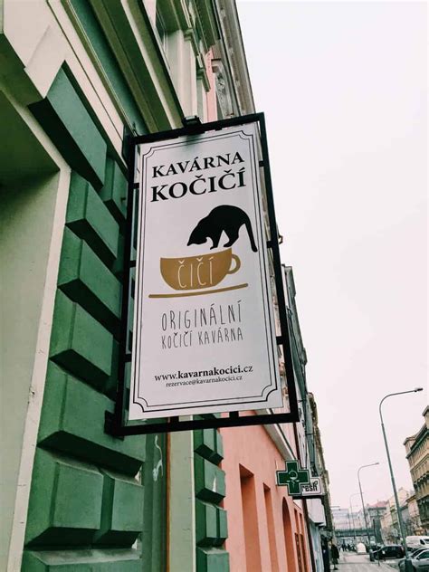 The Best Tips for Exploring Karlin District, Prague