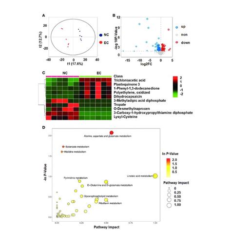 Metabolomic Analysis Of The Serum Of Rats After Administering Ethanol