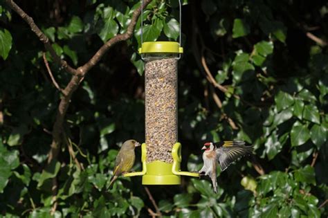 Flo™ Bird Seed Feeder | Tubular Seed Feeder