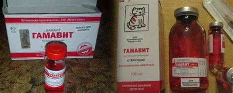 Гамавит кошкам: показания и противопоказания, инструкция по применению ...