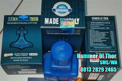 Asli Obat Hammer Thor Suplemen Daya Tahan Apotek Laki