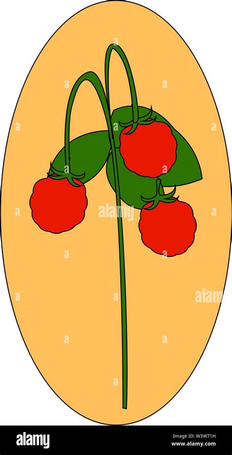 Wild Fresh Strawberry Illustration Vector On White Background Stock