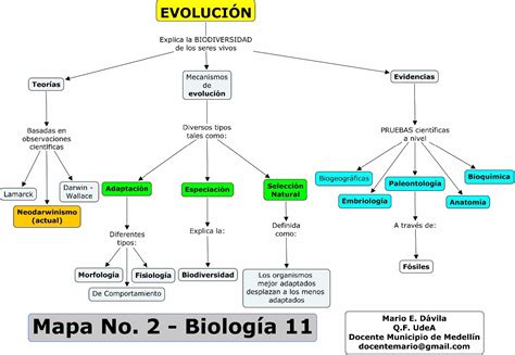 Evoluci N De Los Seres Vivos Mapa Conceptual Porn Sex Picture