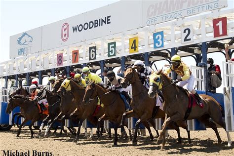 Woodbine To Allow Spectators At 25 Percent Capacity Beginning July 1