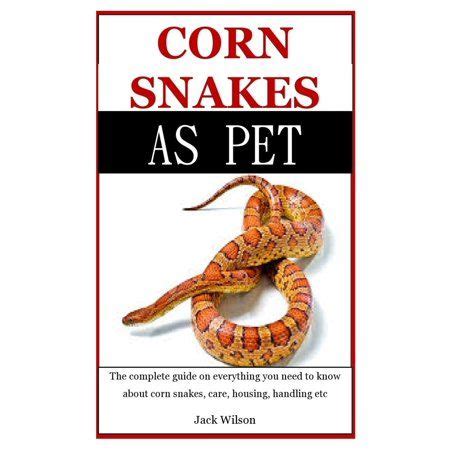 Corn Snakes As Pet The Complete Guide On Everything You Need To Know