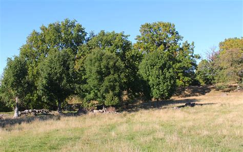 Kr Keryd Nature Reserve I Hans Nerstu Flickr