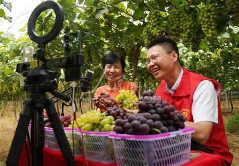 江西新余：直播带货 助农增收 人民图片网