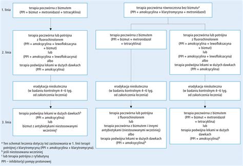 Wp Yw Helicobacter Pylori Na Przew D Pokarmowy Oraz Rozpoznawanie I