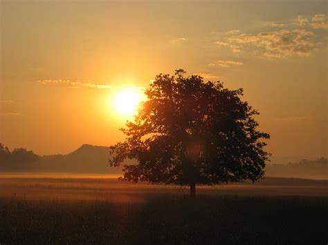 Alabama Sunrise Photograph by Matthew Seufer - Fine Art America