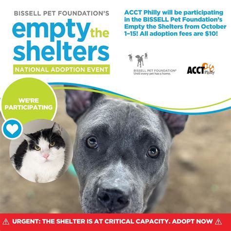 ACCT Philly Participates in Empty The Shelters - ACCT Philly