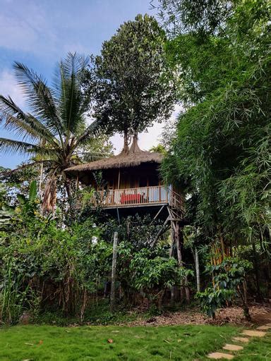 Beautiful Treehouse near Wayanad | Camping in Wayanad, Kerala | Hire A Camp