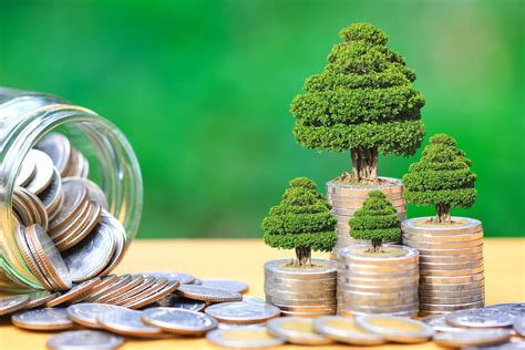 Sovereign Green Bonds Definition Requirement Advantages And