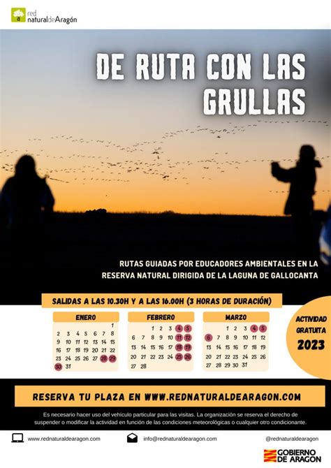 Gallocanta Retoma Sus Visitas Guiadas Para Observar Las Grullas