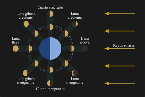 Fases De La Luna Con Sus Nombres