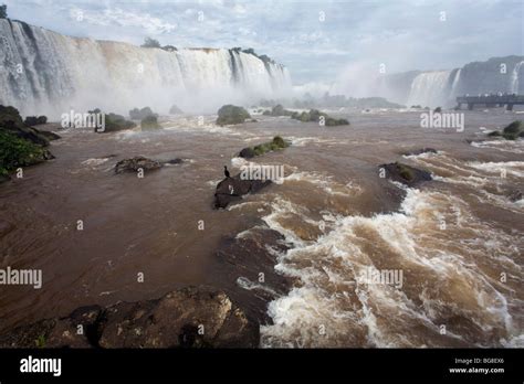 Iguazu National Park, Brazil Stock Photo - Alamy