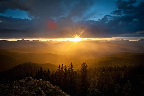 Hd Wallpaper Green Pine Tree Forest Dawn Mountains Morning Sun