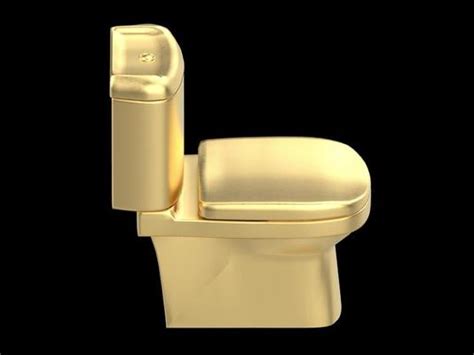 Gold Toilet Stock Photos, Images and Backgrounds for Free Download