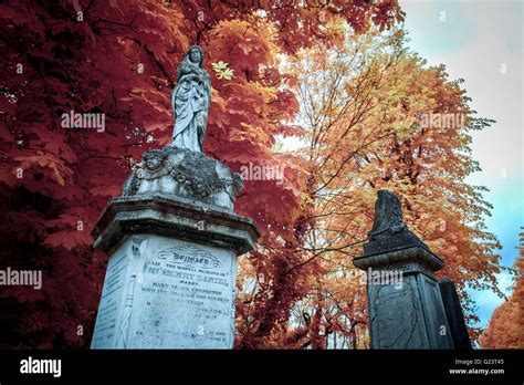 Nunhead Cemetery Hi Res Stock Photography And Images Alamy