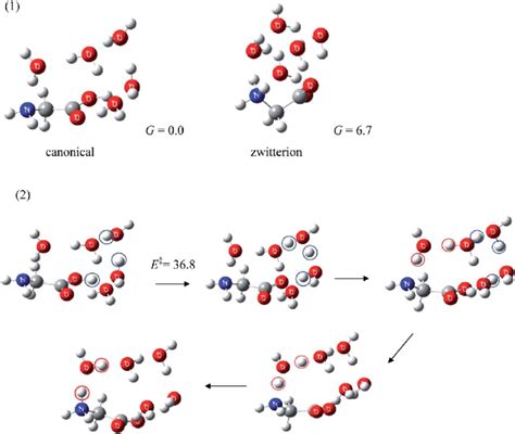 1 Structures Of The Lowest Energy Conformers Of Canonical Gly H 2 O