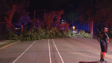 Downed Tree Knocks Out Power For Dozens Tuesday Night In Raleigh