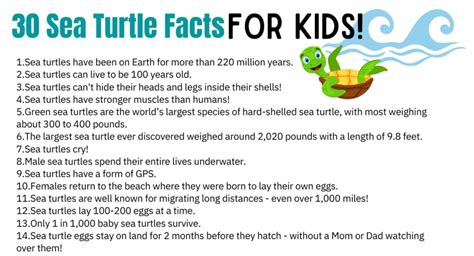 30 Fun Sea Turtle Facts for Kids + A Sea Turtle Craft that Floats!