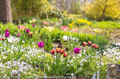 10 Beautiful places to visit in East Sussex by Zoë Power | Beautiful