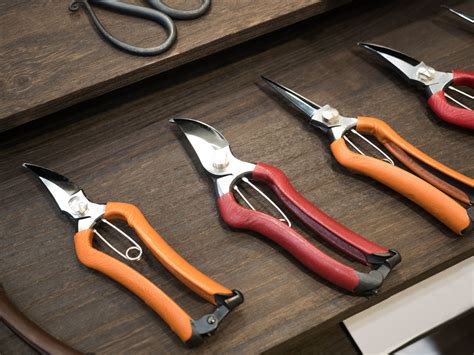 4 Types Of Hand Pruners And How To Choose - TrendRadars