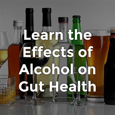 The Truth How Does Alcohol Affect Your Digestive Health