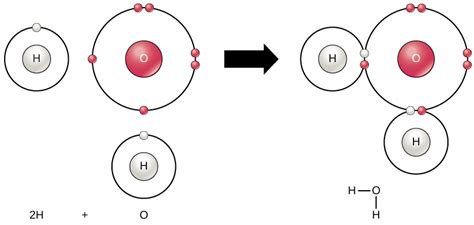 Chemical Reactions | Biology for Majors I
