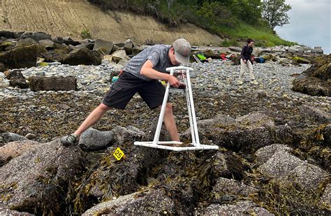 Save the Dates: Fall 2024 Webinar Series : NE CASC