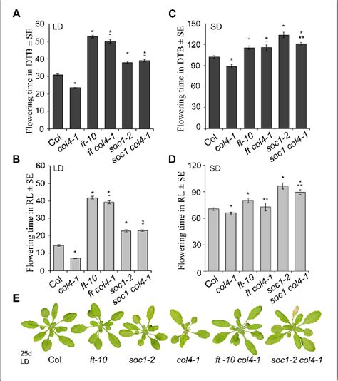 Figure 1 From The Arabidopsis Thaliana CONSTANS LIKE 4 COL4 A