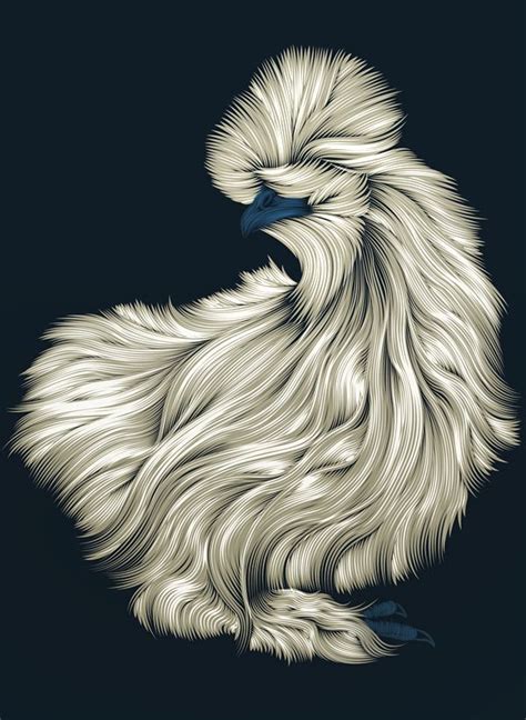 Fluffy Silkie Chicken Illustration By Patrick Seymour It S A Wonderful