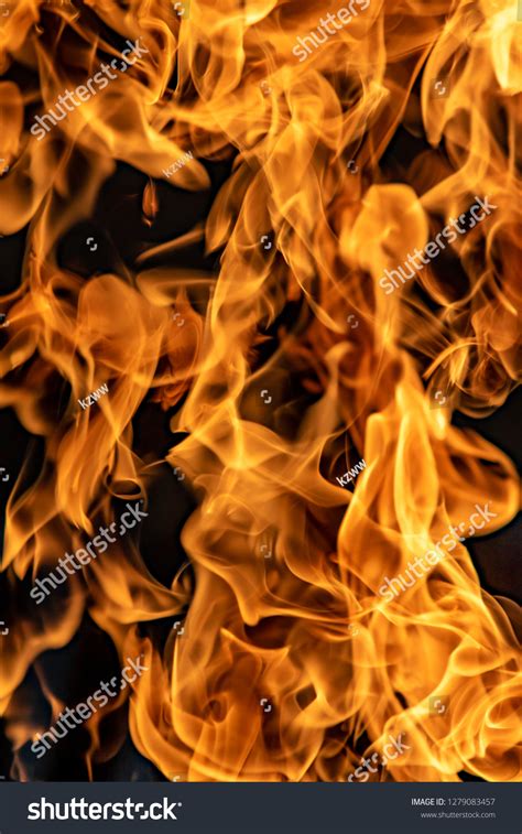 Fire Flames On Black Background Abstract Stock Photo 1279083457 ...