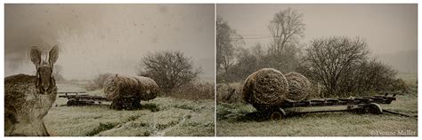 Canteen Magazine S Naked Judging Learning From Rejection Part Lenscratch