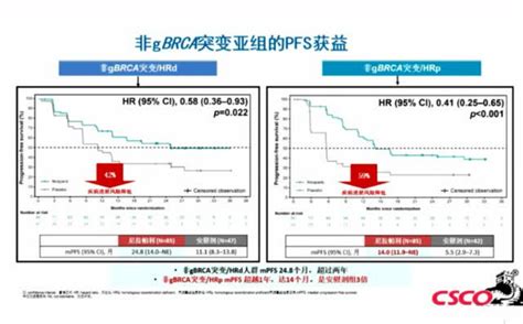 2022csco卵巢癌指南更新要点（可下载精美ppt及解读视频） 高清1080p在线观看平台 腾讯视频