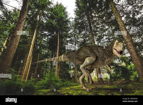 T rex hunting hi-res stock photography and images - Alamy