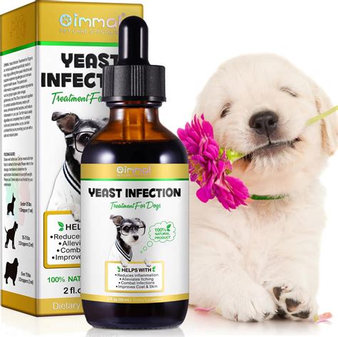 Yeast Infection Treatment For Dogs Dog Ear Infection