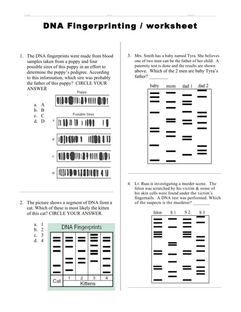 Dna Fingerprinting Worksheet