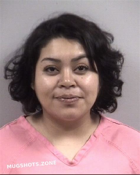 Elizabeth Solis Carbajal 10 23 2022 Johnston County Mugshots Zone