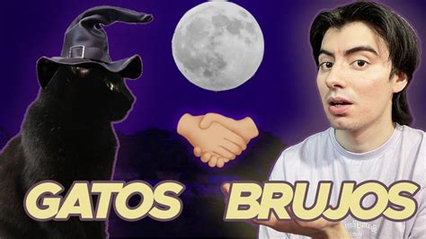 El Mejor Amigo Del Brujo Los Gatos 🖤 Youtube