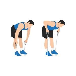 Effective Back Exercises With Resistance Bands You Can Do Anywhere My