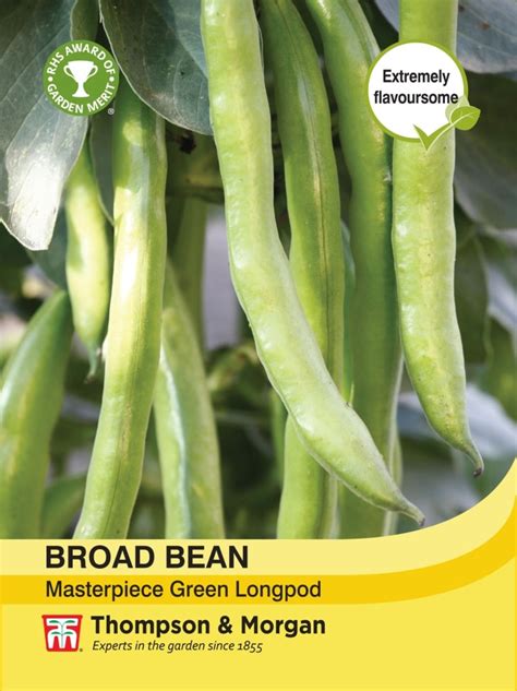 Broad Bean Masterpiece Green Longpod Gordon Rigg