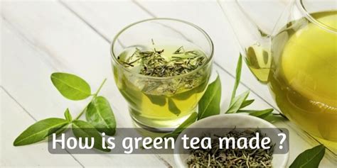 How Is Green Tea Made Breaking Down Your Favorite Tea