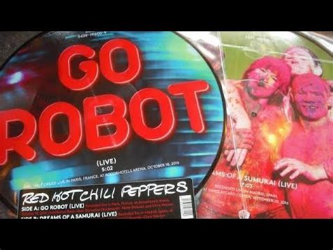 Red Hot Chili Peppers Go Robot YouTube