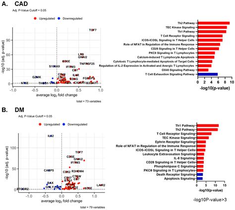 Sex Differences In Coronary Artery Disease And Diabetes Revealed By