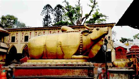 GoTirupati: Pashupatinath temple Kathmandu