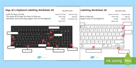 Keys Of A Keyboard Labelling Worksheet Teacher Made